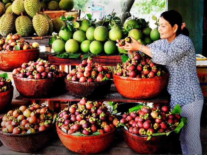 Gợi ý lịch trình 1 ngày khám phá vườn trái cây Lái Thiêu cực vui