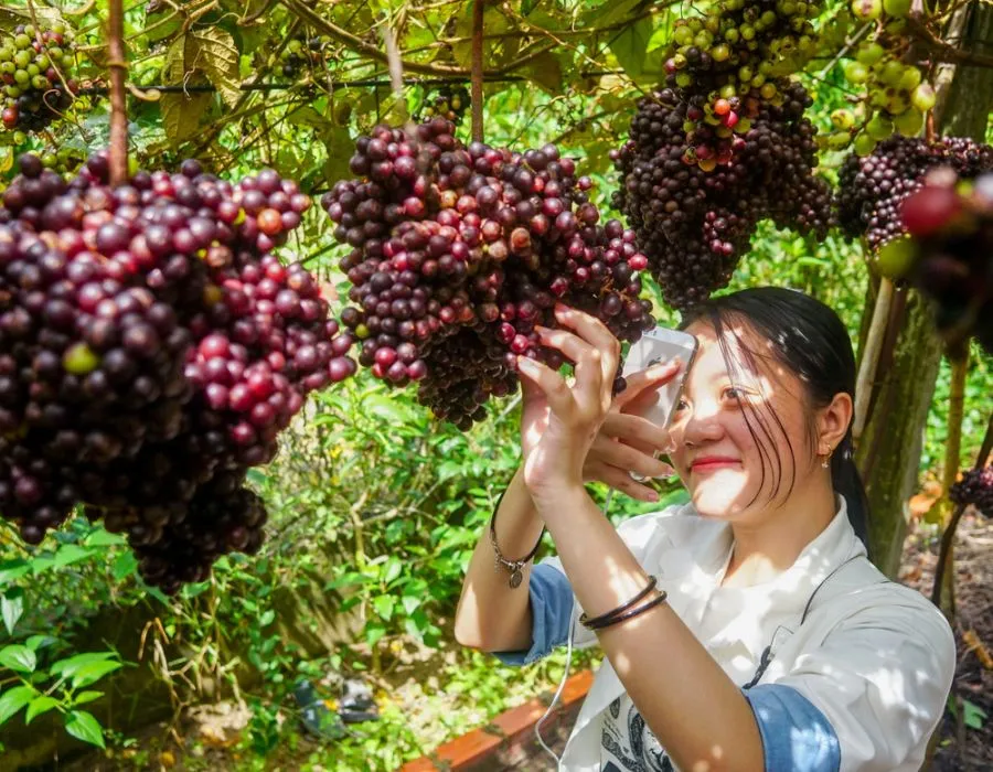 Gợi ý lịch trình hành hương Tây Ninh siêu chi tiết cho bạn