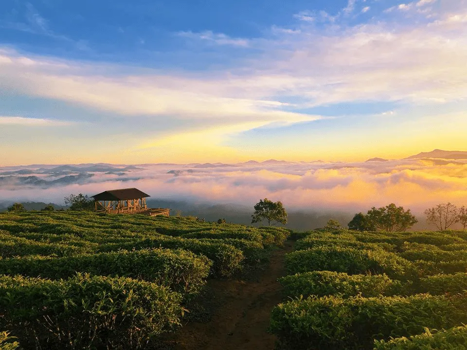 Gợi ý lịch trình tour Đà Lạt 4 ngày 3 đêm tự túc ăn chơi tẹt ga