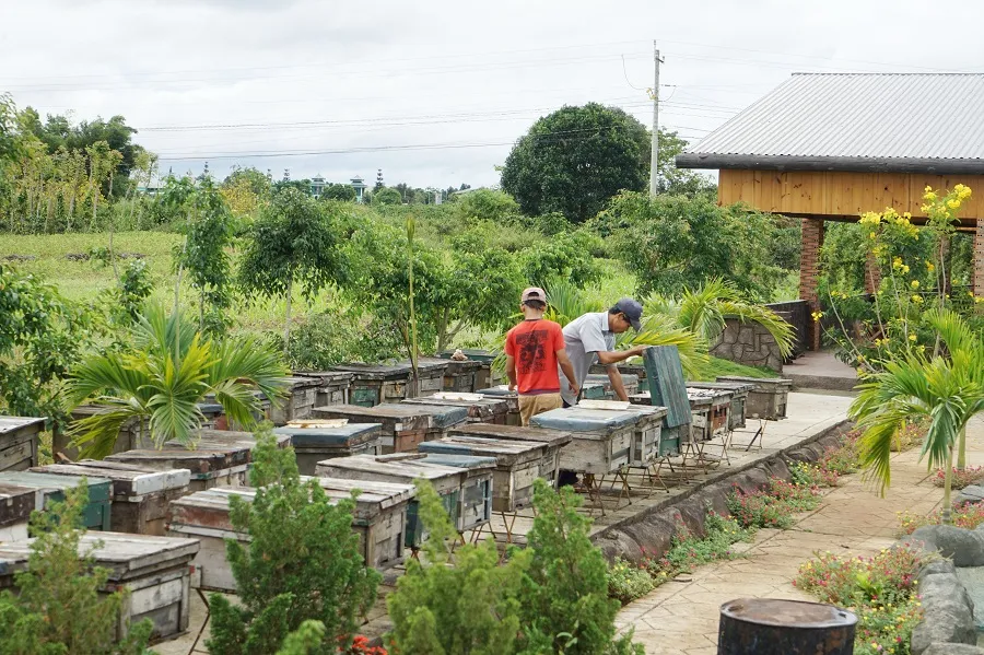 Gợi ý lịch trình tour Đà Lạt 4 ngày 3 đêm tự túc ăn chơi tẹt ga