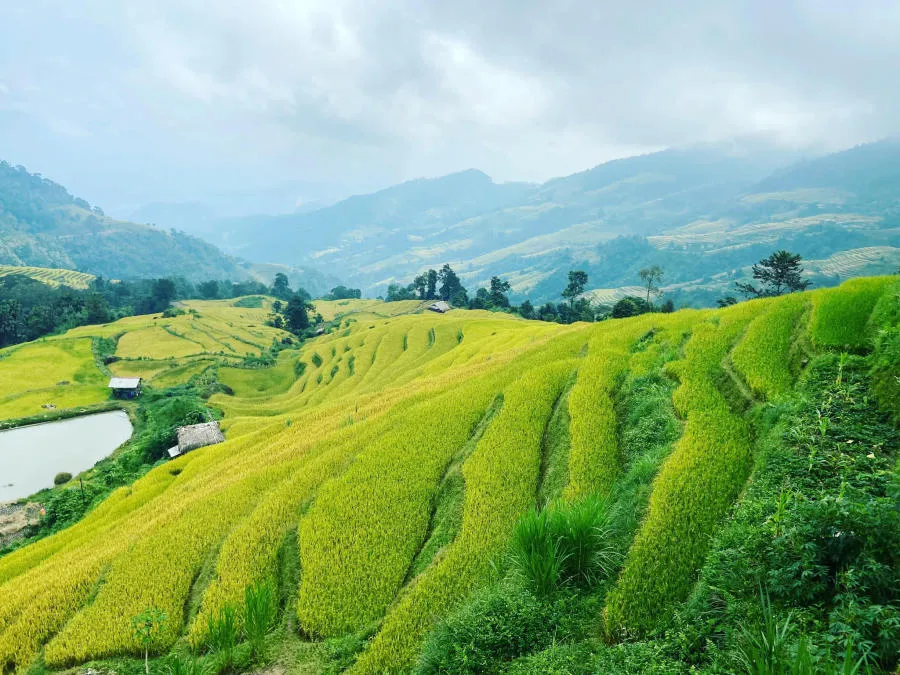 Hà Giang tháng 10 đẹp mê hồn đốn tim những tín đồ mê xê dịch