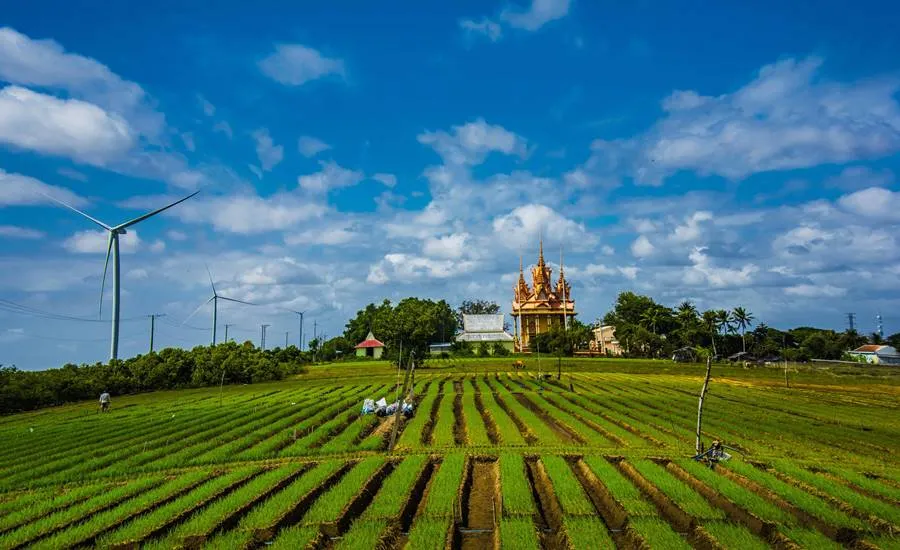 Hành tím Vĩnh Châu, nông sản nổi tiếng của tỉnh Sóc Trăng