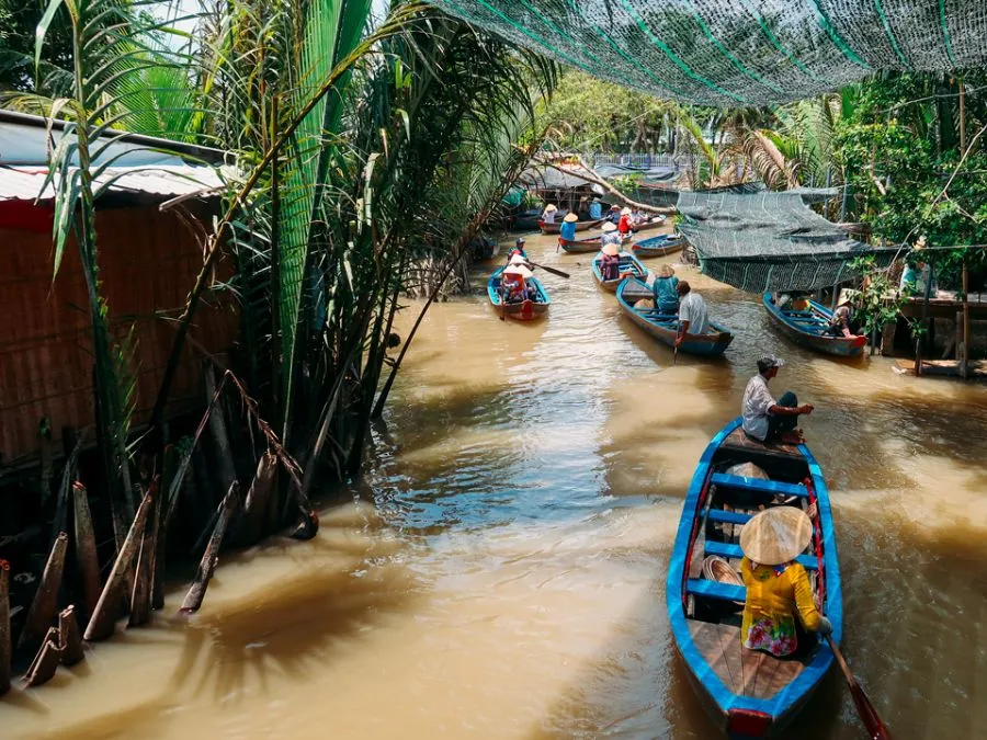 Hành trình khám phá Cồn Phụng 1 ngày dành cho bạn lần đầu du lịch