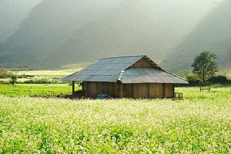 Hành trình khám phá Mộc Châu 3N2Đ với hàng loạt trải nghiệm thú vị