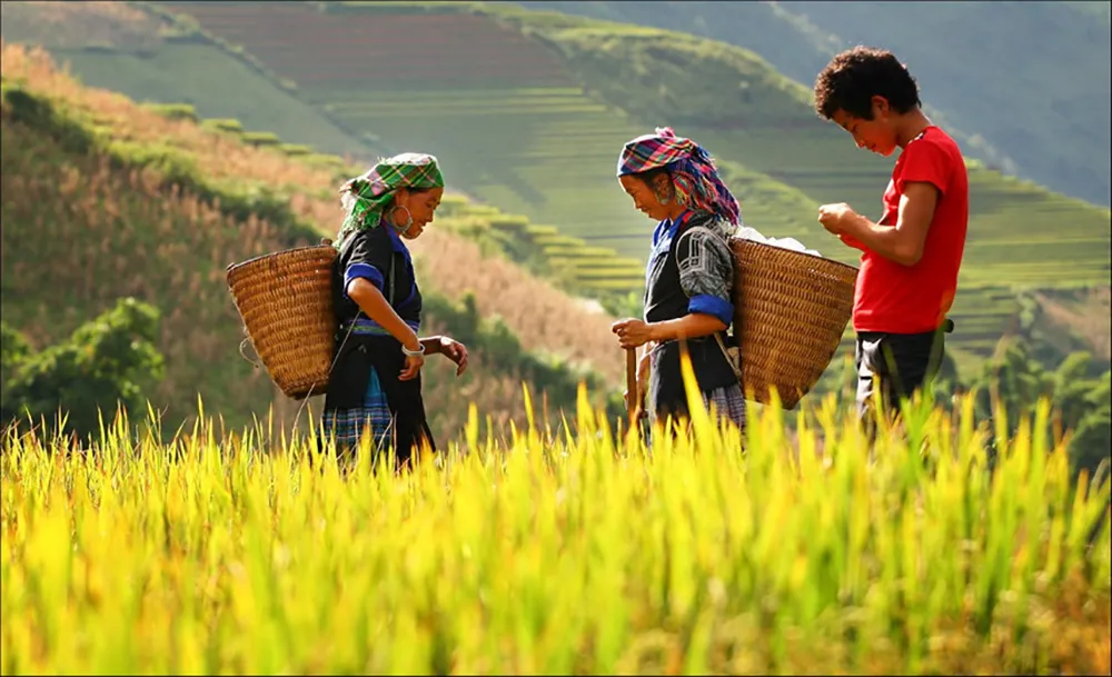 Hành trình khám phá và review xã Bản Luốc