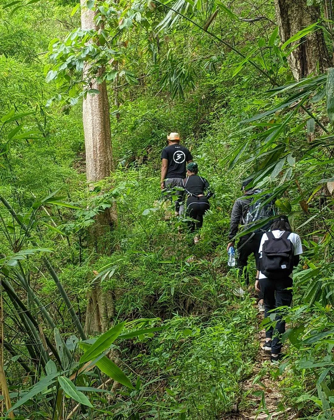 Hành trình trekking thác Cha Pơ với những trải nghiệm khó quên