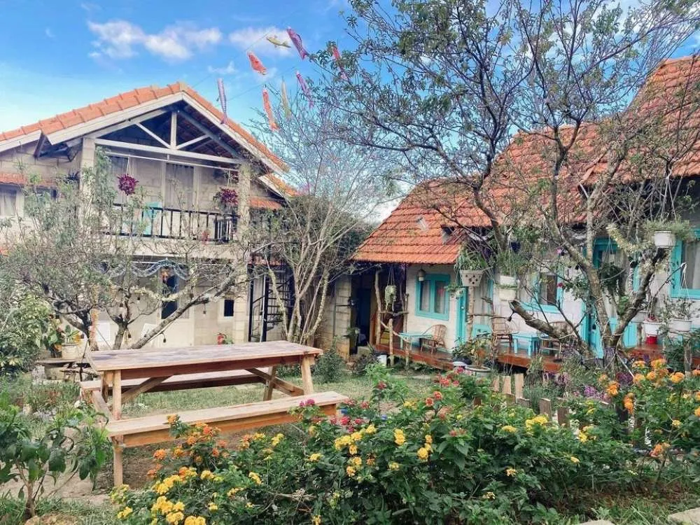 Himawari Homestay, ngôi nhà nhỏ ẩn mình trong khu vườn hoa đầy màu sắc