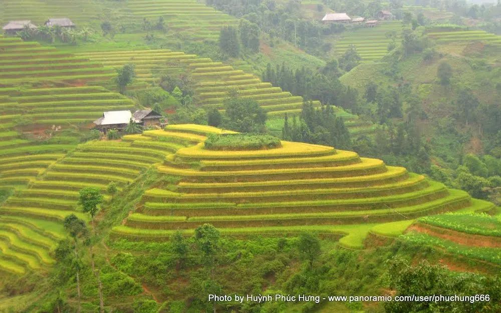 Hồ Thầu – Muôn thuở vẻ đẹp ruộng bậc thang tại Hoàng Su Phì