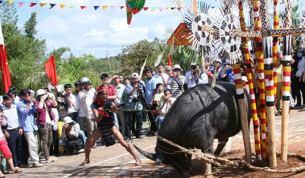 Hòa mình vào Lễ hội đâm trâu cực nhộn nhịp tại Gia Lai