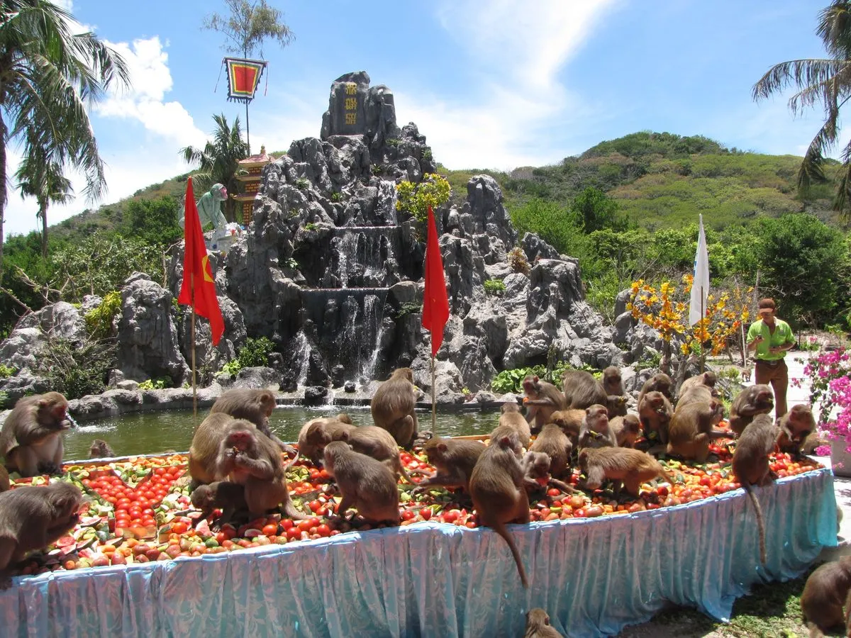 Hòa mình vào những hoạt động vui chơi náo nhiệt tại Lễ hội hoa quả sơn ở đảo Khỉ