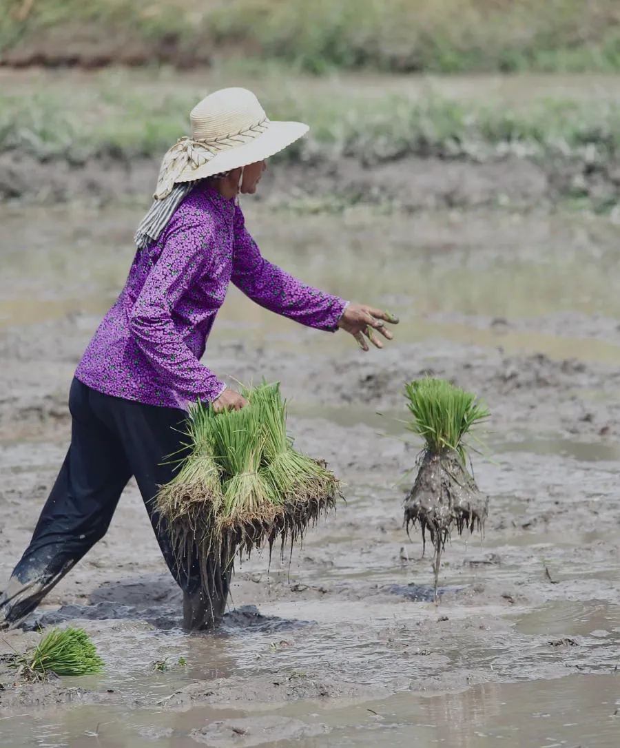 Hòa mình vào Tết cổ truyền Senl Donta độc đáo của người Khmer