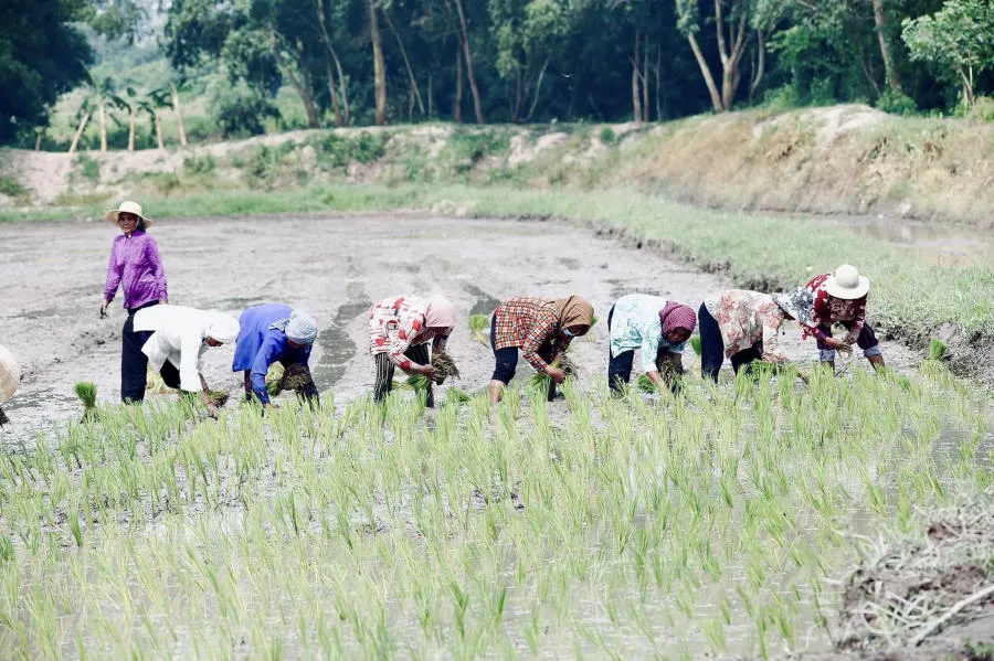 Hòa mình vào Tết cổ truyền Senl Donta độc đáo của người Khmer