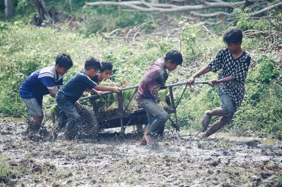 Hòa mình vào Tết cổ truyền Senl Donta độc đáo của người Khmer