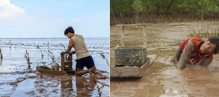 Hoang sơ biển Mỏ Ó, tuyệt tác thiên nhiên miền Tây Nam Bộ