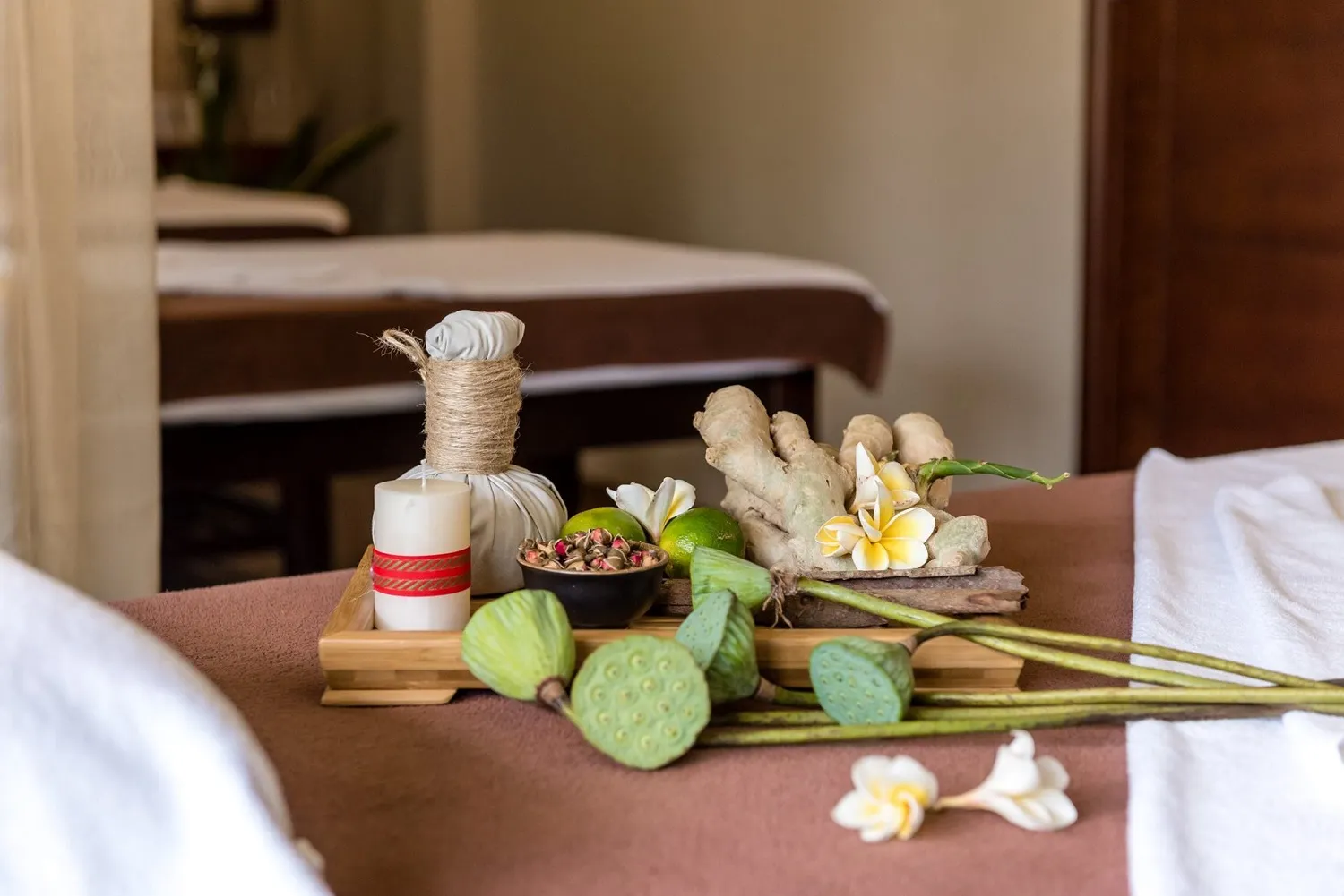 Hội An Eco Lodge & Spa – Khu nghỉ dưỡng 4 sao sang trọng tọa lạc giữa rừng dừa xanh mát