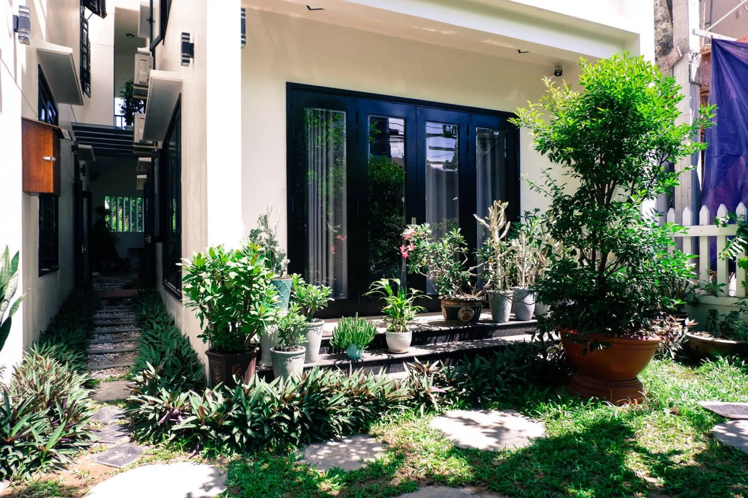 Hội An Succulent Homestay – Homestay Hoa Đá với view chụp hình thơ mộng