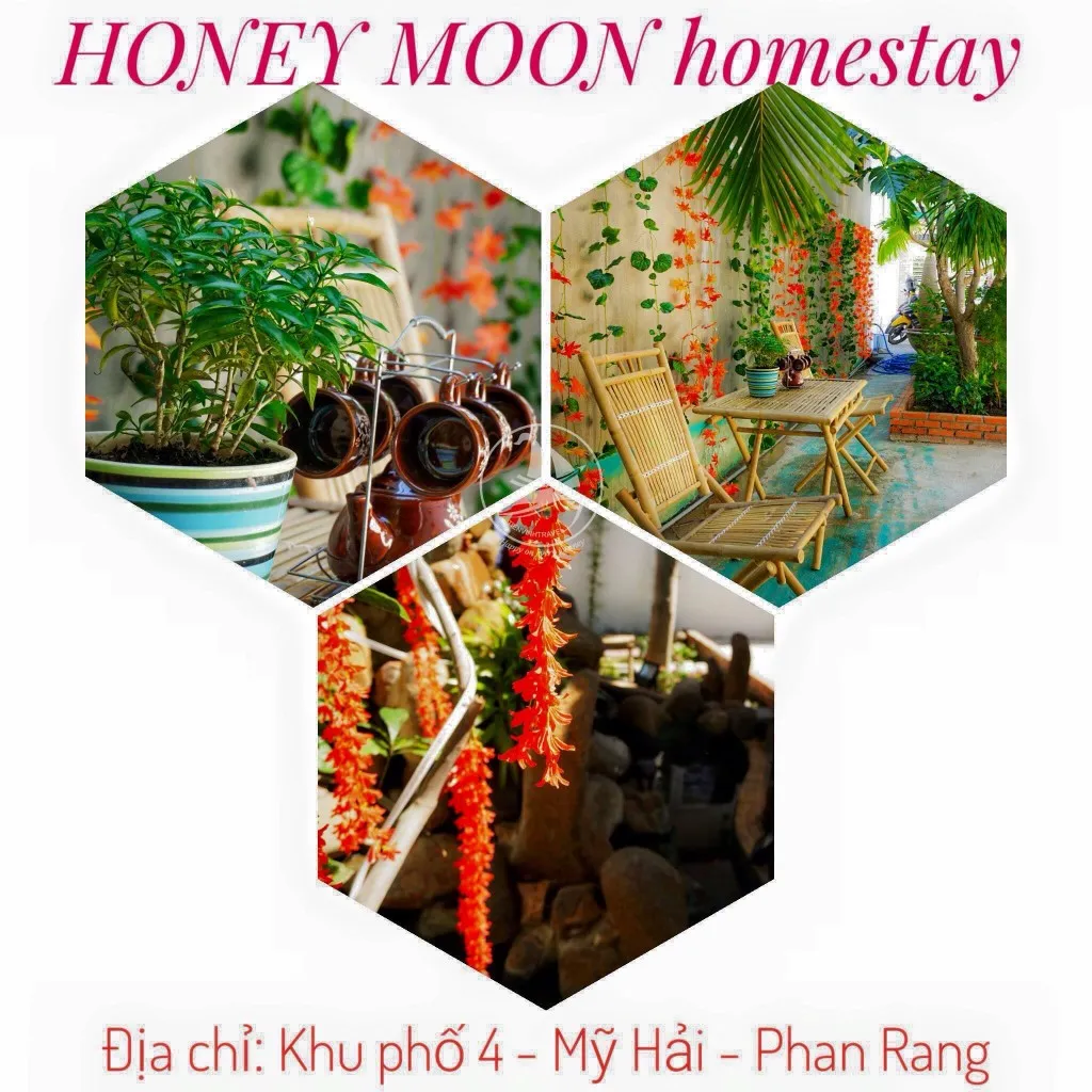 Honey Moon homestay, góc nhỏ bình yên và ngọt ngào tại Ninh Thuận