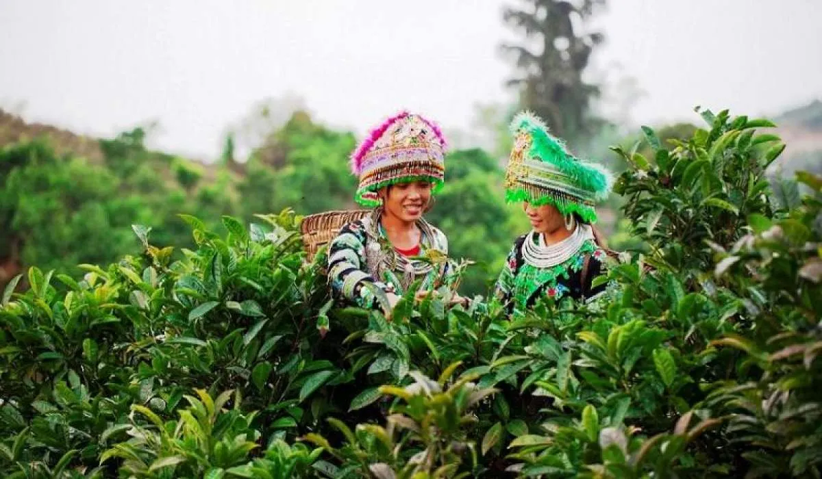 Hướng dẫn di chuyển đến Suối Giàng – Tọa độ sống ảo đẹp hết lời