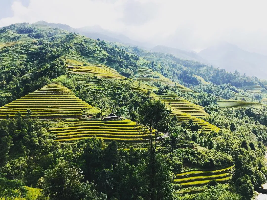 Huyền bí Tây Côn Lĩnh – Nơi được mệnh danh là ‘Nóc nhà vùng Đông Bắc’