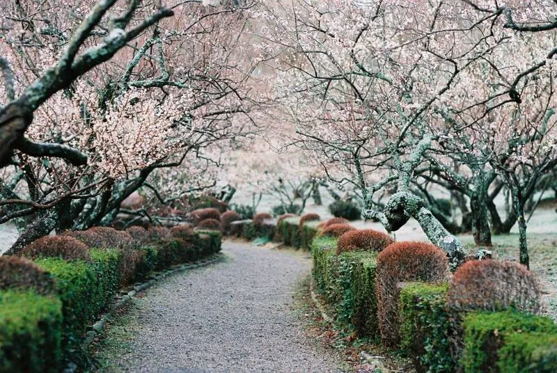 Kanagawa điểm cân bằng hoàn hảo giữa thiên nhiên và đô thị Nhật Bản