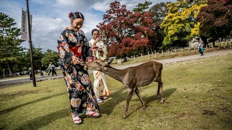 Kansai, mảnh đất của truyền thống và văn hóa tại Nhật Bản