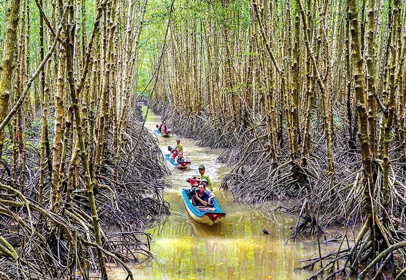 Khám phá 10 điểm du lịch Cà Mau dành cho team đam mê xê dịch