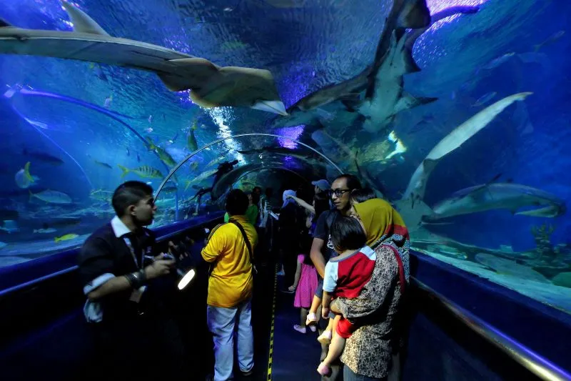 Khám phá Aquaria KLCC với hơn 5.000 sinh vật biển đặc sắc