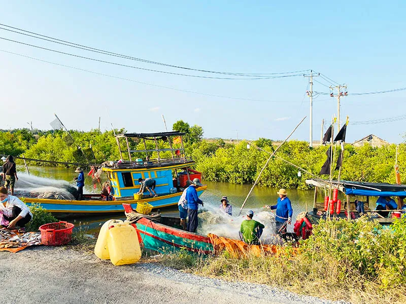 Khám phá biển Cồn Nhàn hoang sơ và thi vị bậc nhất xứ dừa