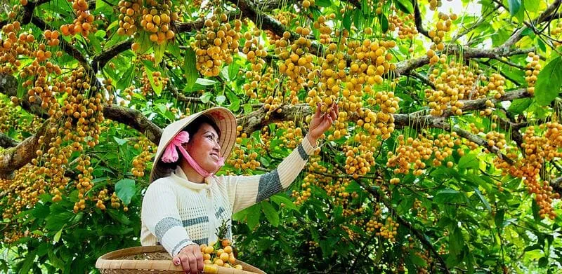 Khám phá Cà Mau có gì chơi cùng những địa điểm tham quan thú vị