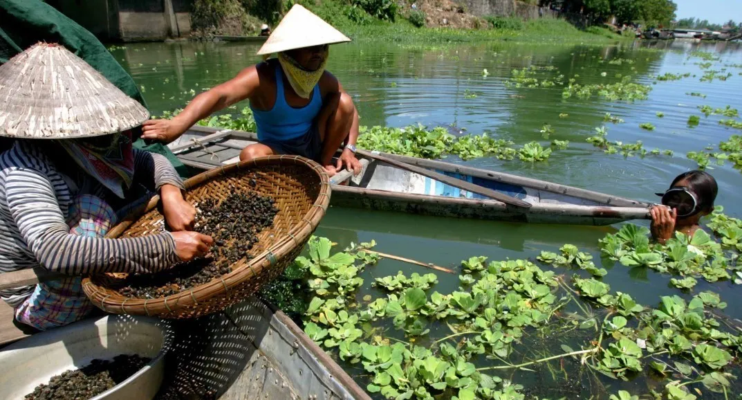 Khám phá Cồn Hến Huế – Đảo nhỏ mộng mơ giữa lòng sông Hương