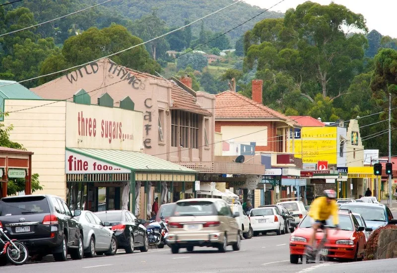 Khám phá công viên Dandenong: lá phổi xanh của Melbourne