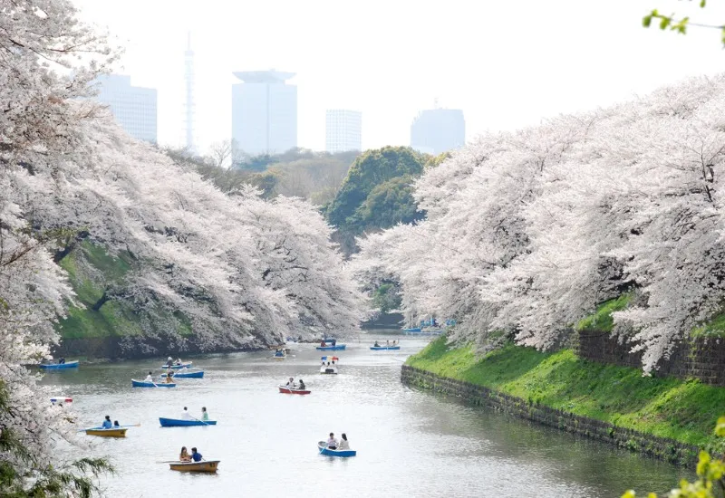 Khám phá công viên Ueno: công viên lâu đời nhất tại Tokyo