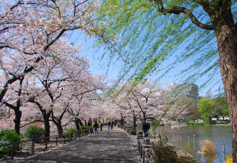 Khám phá công viên Ueno: công viên lâu đời nhất tại Tokyo