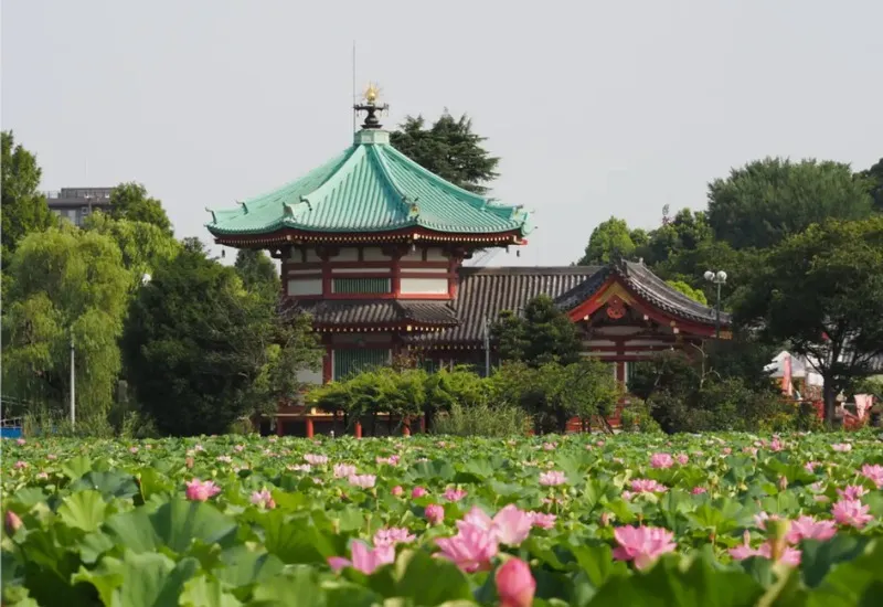 Khám phá công viên Ueno: công viên lâu đời nhất tại Tokyo