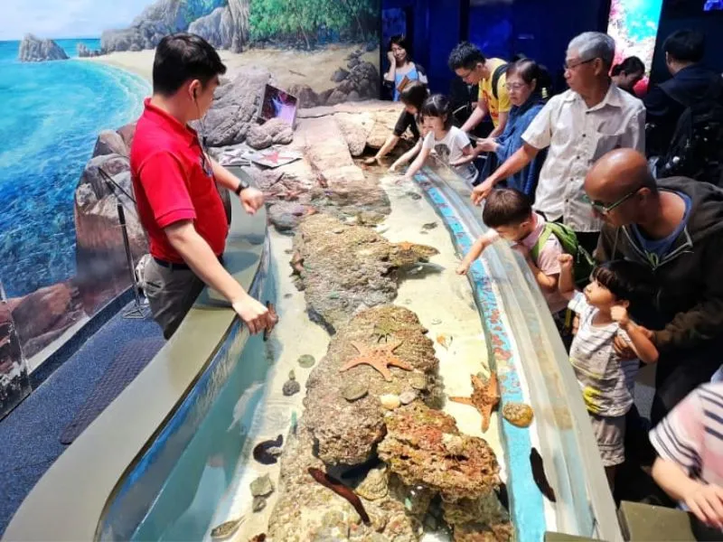 Khám phá đại dương thu nhỏ tại S.E.A Aquarium Singapore