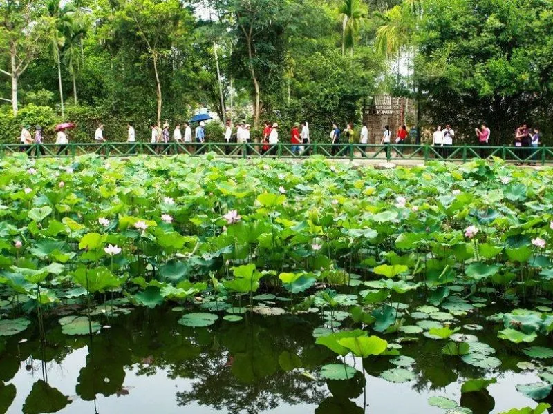 Khám phá di tích Làng Sen quê Bác nổi tiếng xứ Nghệ