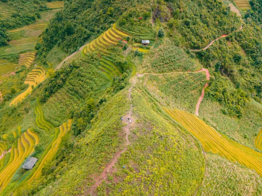 Khám phá Đồi Mâm Xôi Bé trên đường du lịch Mù Cang Chải