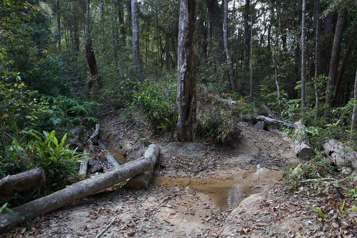 Khám phá hành trình trekking và cắm trại trên núi Ngọc Lễ