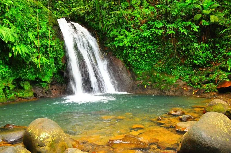 Khám phá hòn ngọc Guadeloupe của vùng Caribe tuyệt sắc