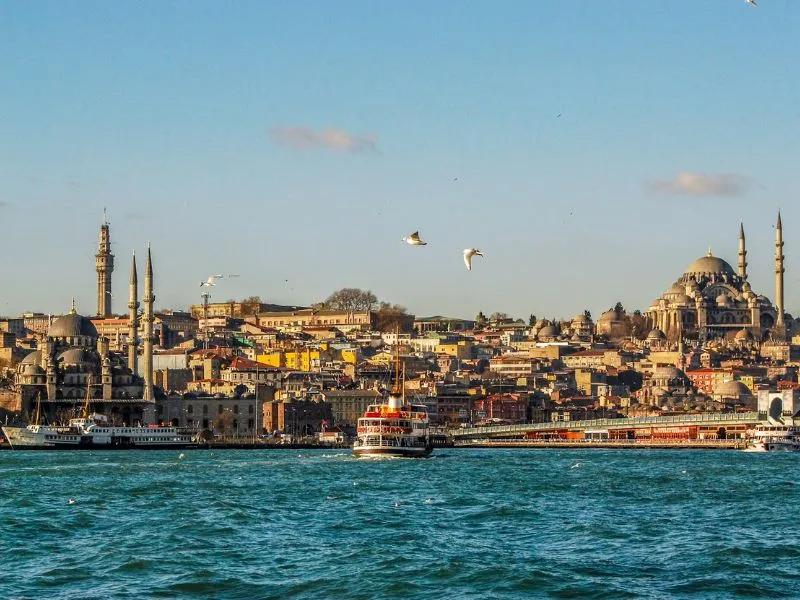 Khám phá Istanbul, vương quốc của những chú mèo