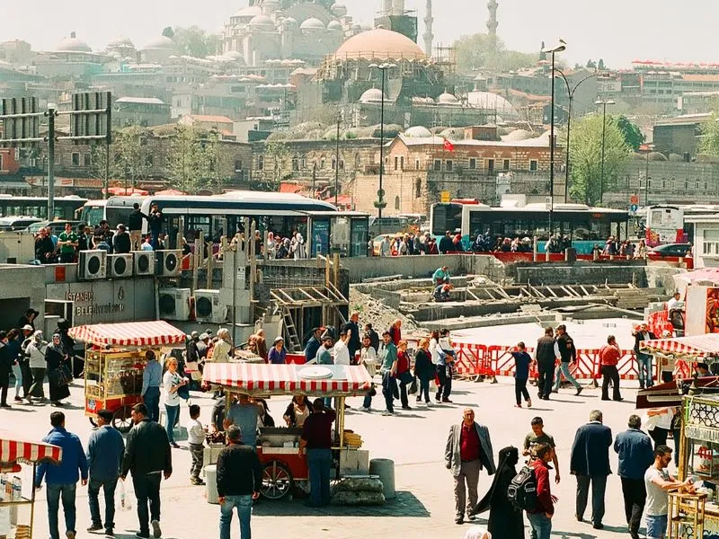 Khám phá Istanbul, vương quốc của những chú mèo