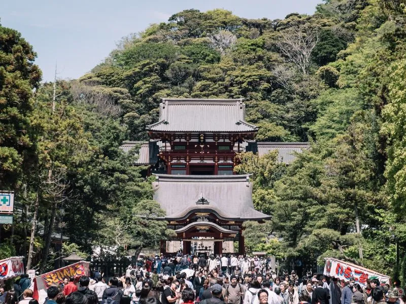 Khám phá Kamakura đầy cổ kính và yên bình bên cạnh Tokyo