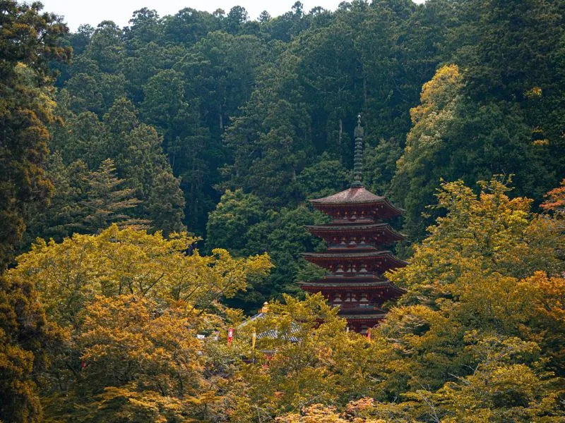 Khám phá Kamakura đầy cổ kính và yên bình bên cạnh Tokyo