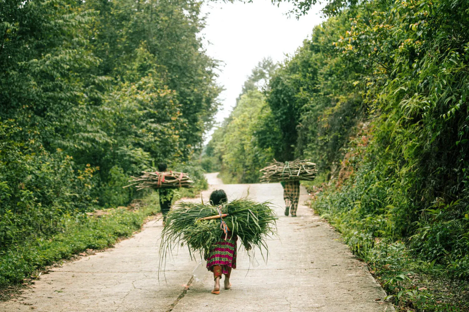 Khám phá Làng cổ Thiên Hương trăm năm tuổi trên cao nguyên đá Đồng Văn