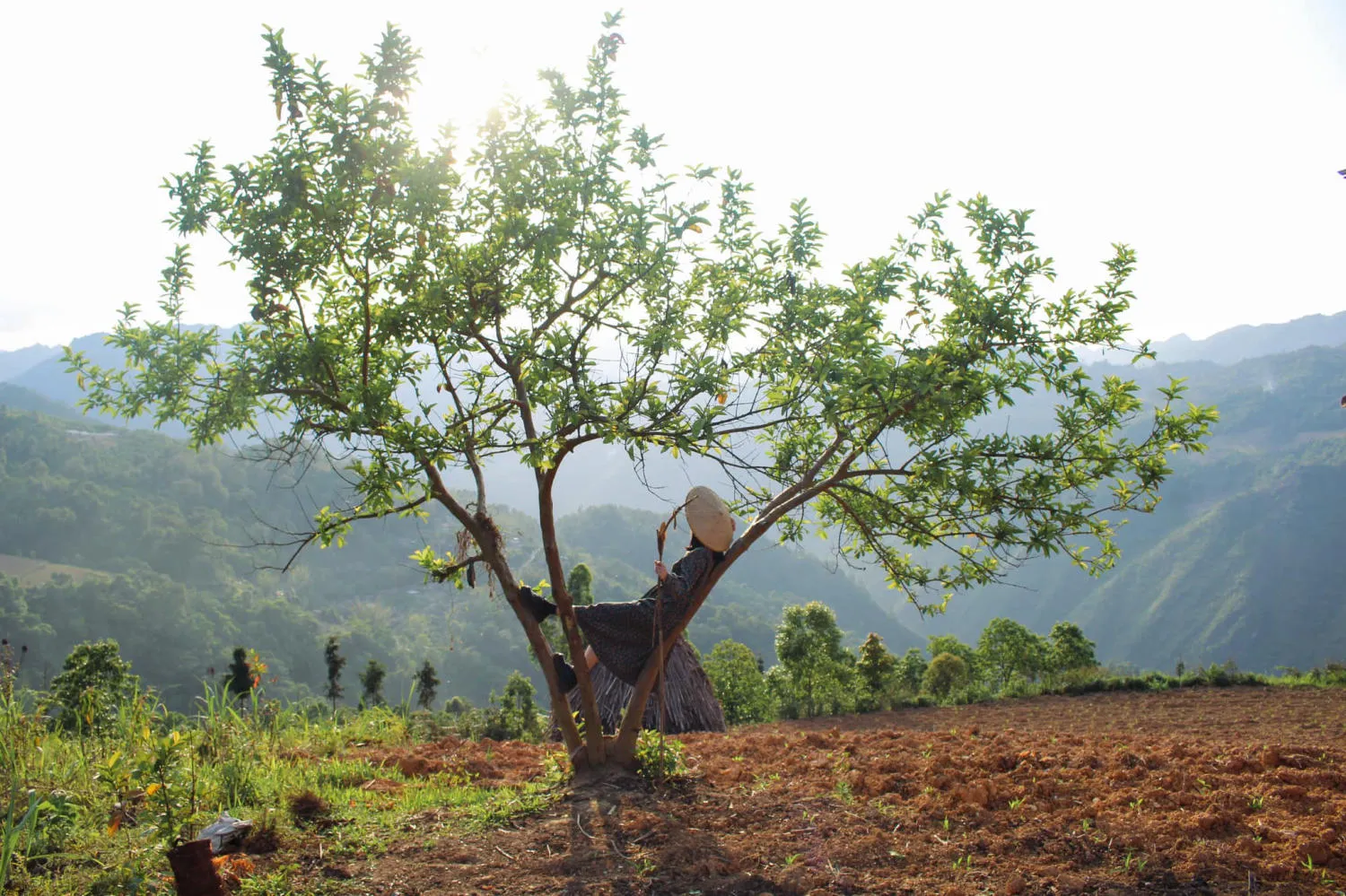 Khám phá Làng cổ Thiên Hương trăm năm tuổi trên cao nguyên đá Đồng Văn