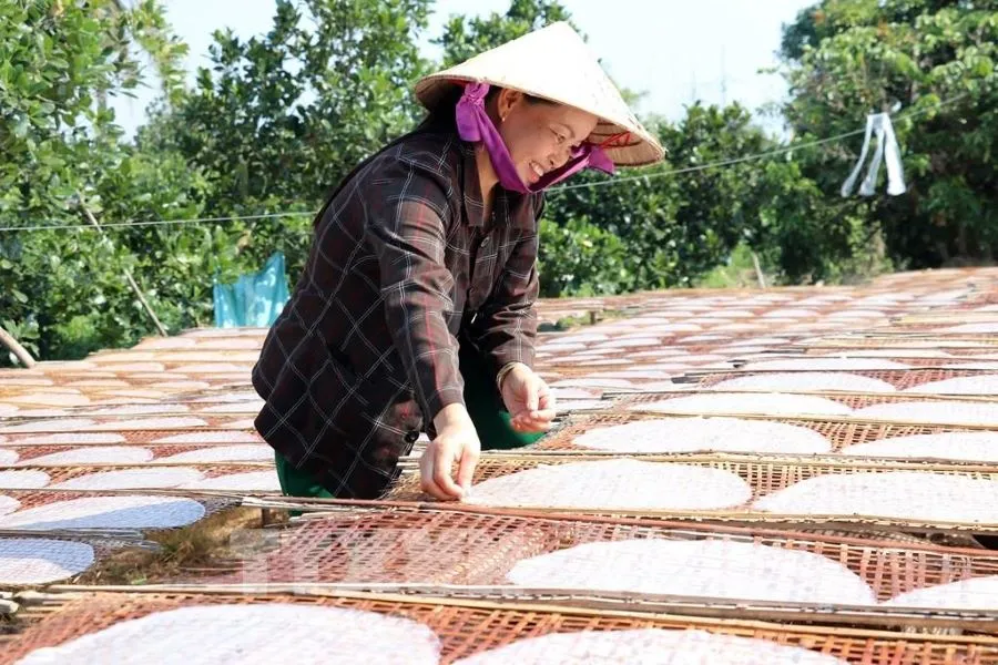 Khám phá làng nghề bánh tráng Mỹ Lồng, nét đẹp truyền thống tại xứ dừa