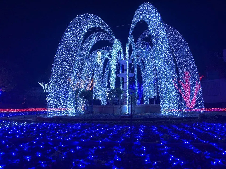 Khám phá Lễ hội ánh sáng Mộc Châu tại Công viên ánh sáng Pha Luông