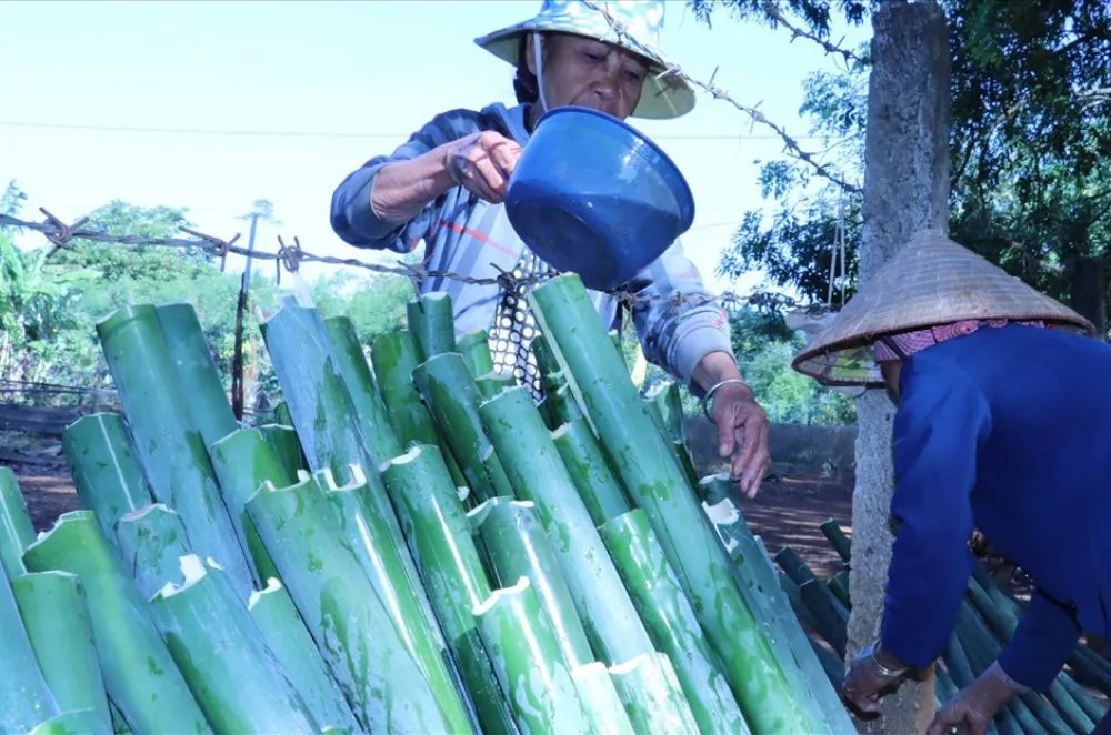 Khám phá Lễ hội mừng lúa mới của đồng bào S’tiêng