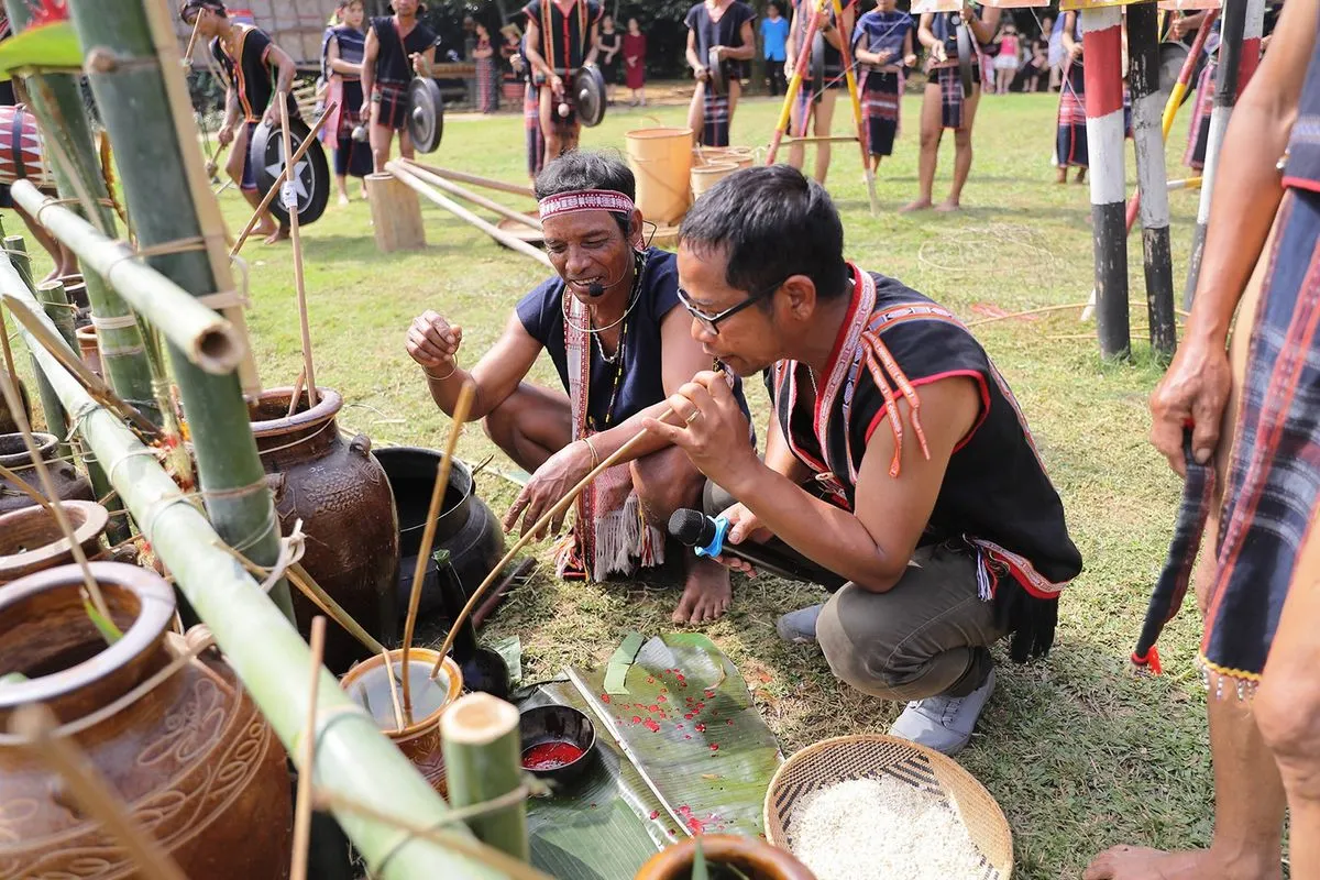 Khám phá Lễ hội Mừng lúa mới Kon Tum với những nghi thức độc đáo