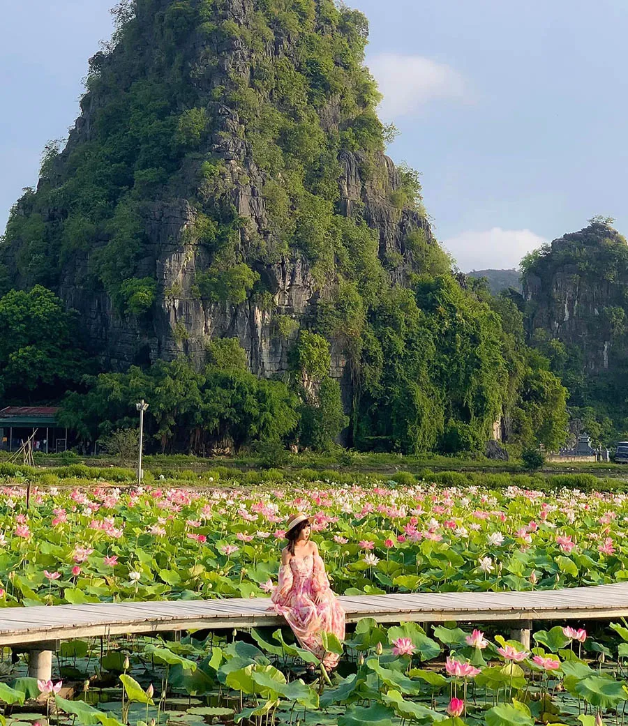 Khám phá mùa sen Ninh Bình đẹp như chốn bồng lai tiên cảnh